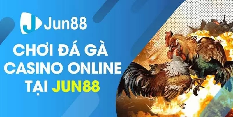 Review nhanh về sản phẩm Đá Gà siêu hấp dẫn
