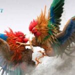 Đá gà tại SHBET: Trải nghiệm trò chơi cá cược siêu hấp dẫn đông đảo người chơi
